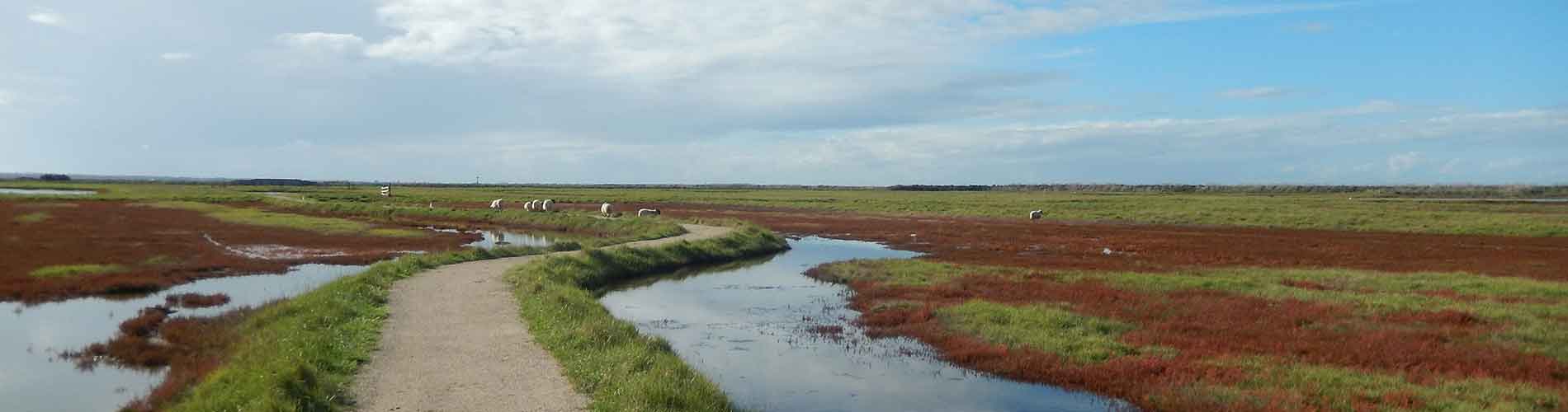 reserve naturelle moeze oleron