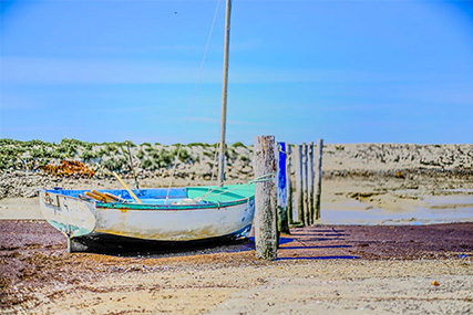 Couarde sur Mer Île de Ré camping Île Blanche