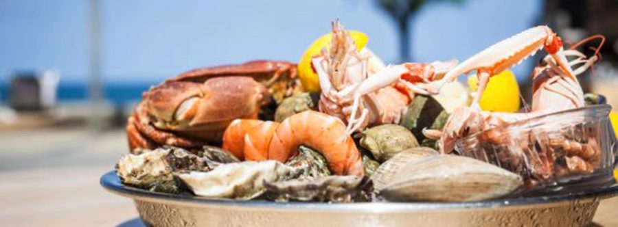 fruits de mer flotte en re