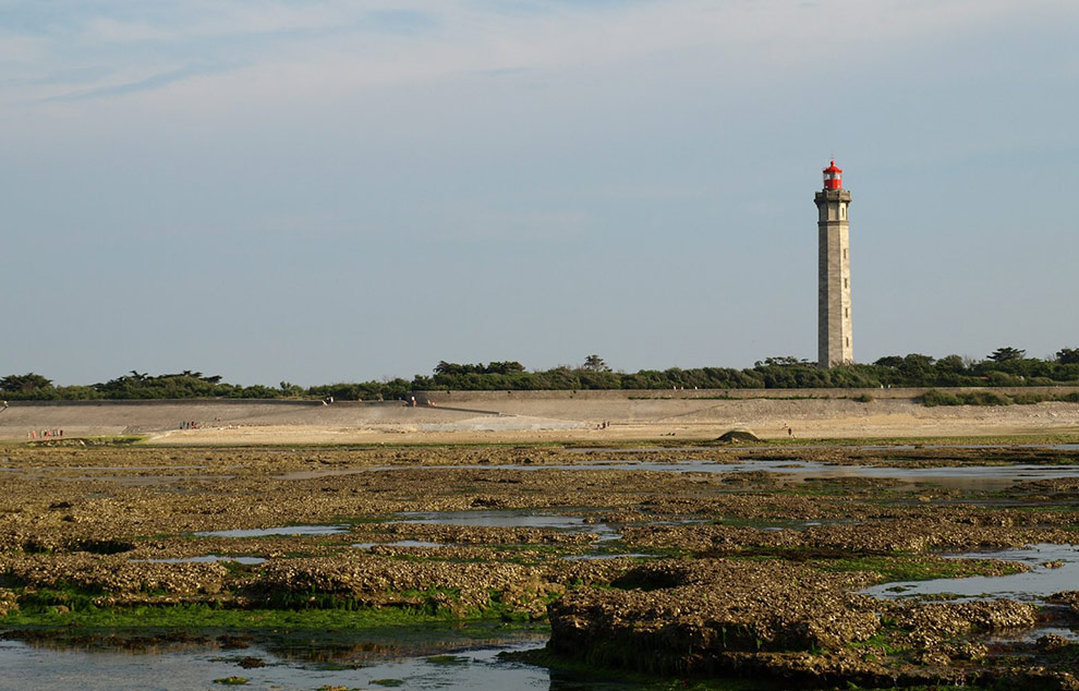 decouvrir phare des baleines