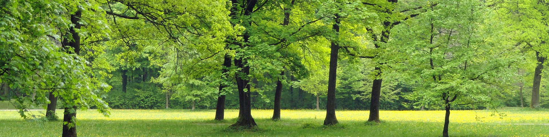 flotte en re parc boise