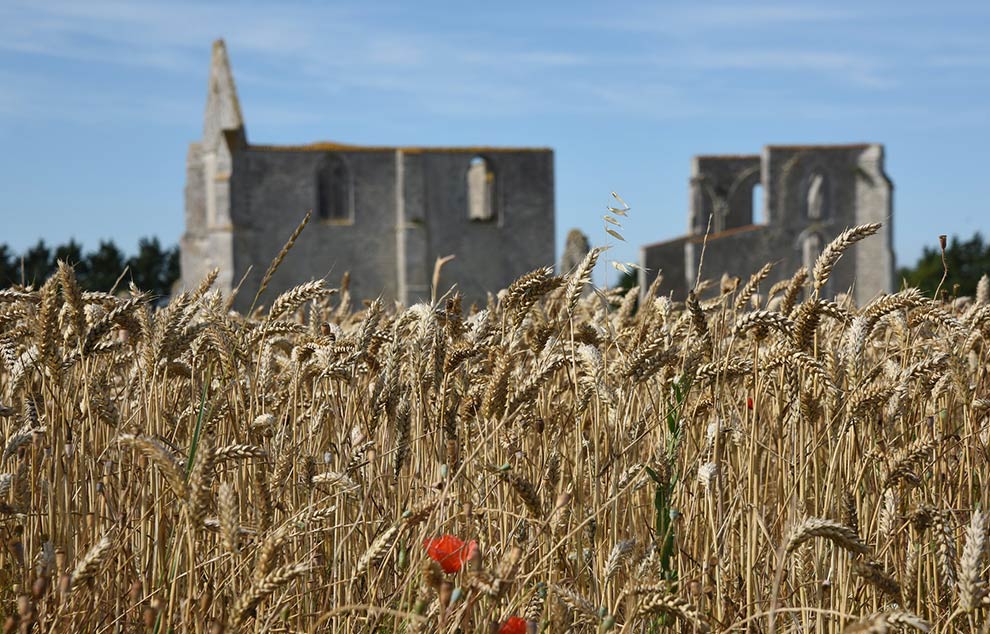 flotte en re patrimoine