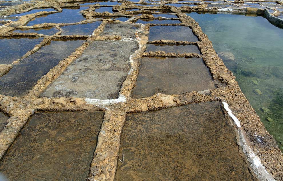 marais salants couarde