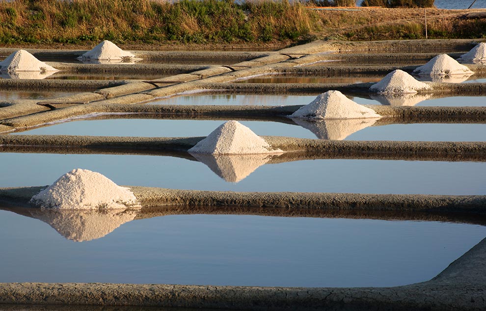 marais salants loix en re