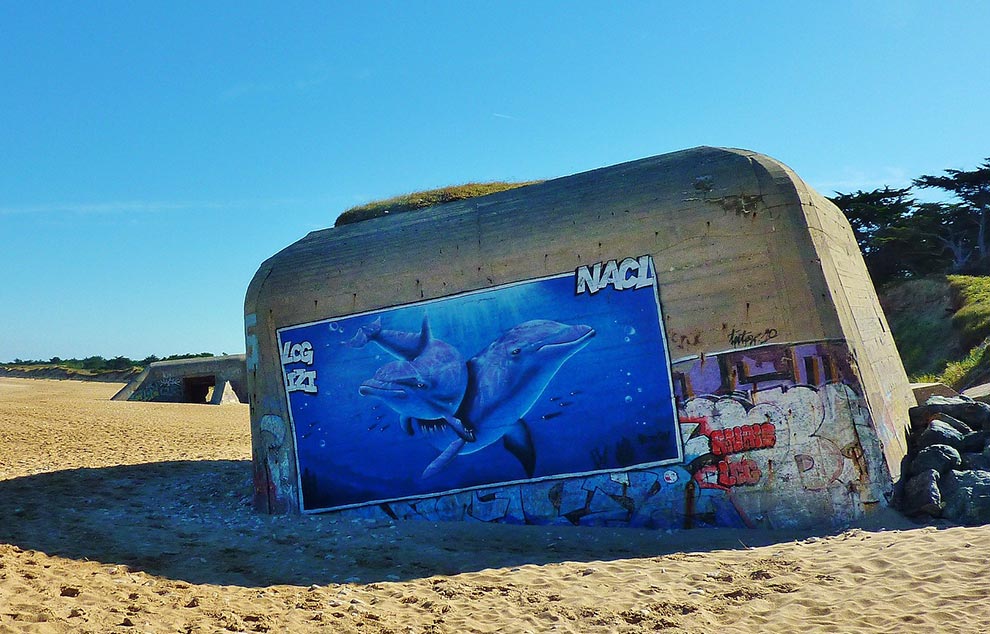 plage des baleines ile de re