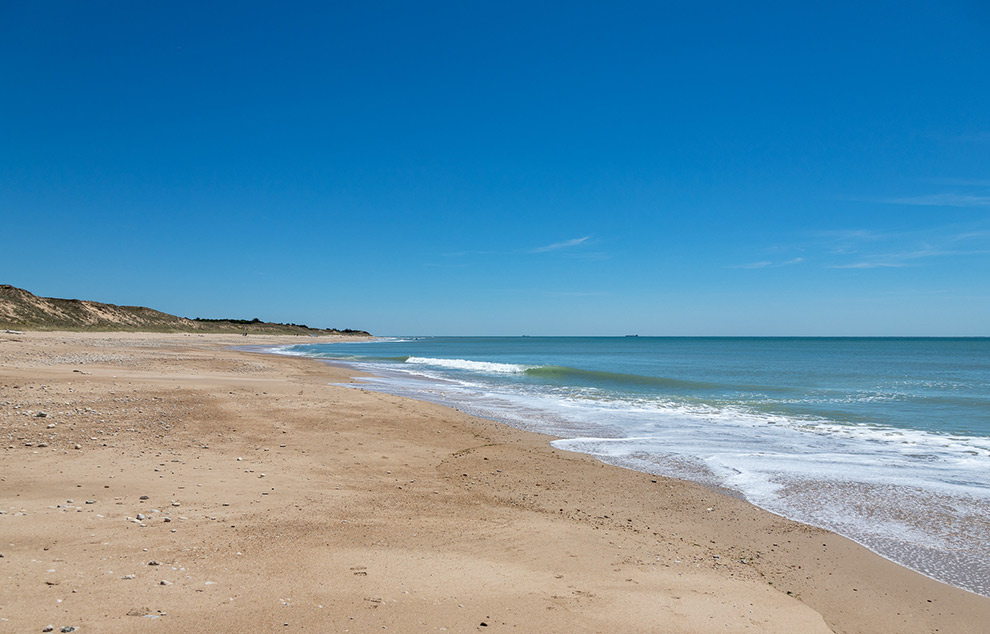 plage des gros joncs