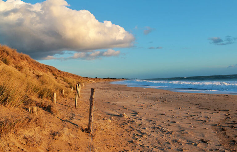 Visiter le Bois Plage en Ré : que voir et que faire près de le Bois