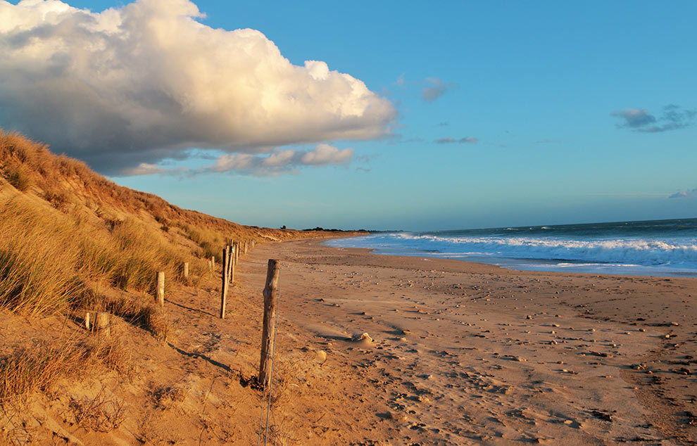 plage gros jonc bois plage