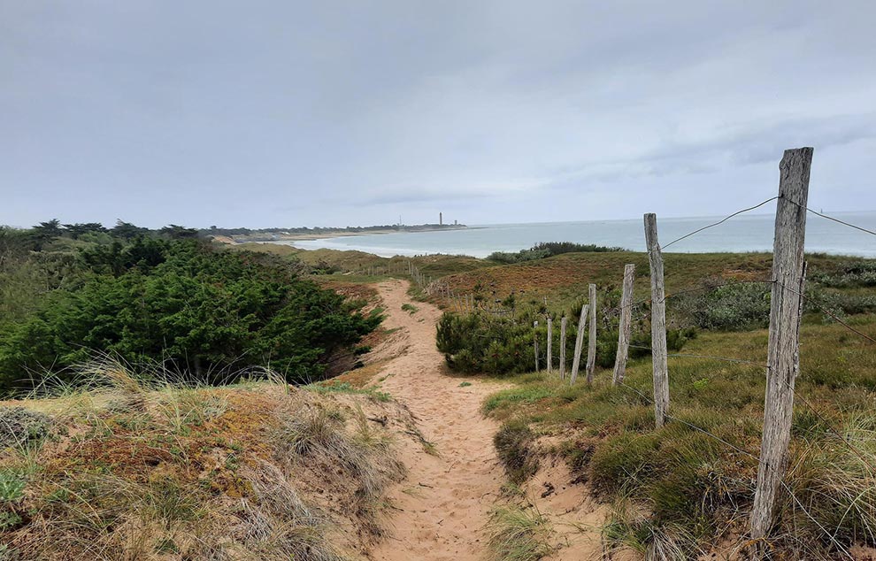 plages ile de re portes