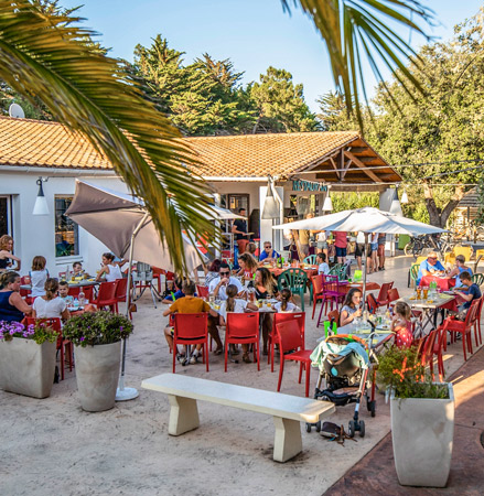 restaurant-terrasse-ile-de-re