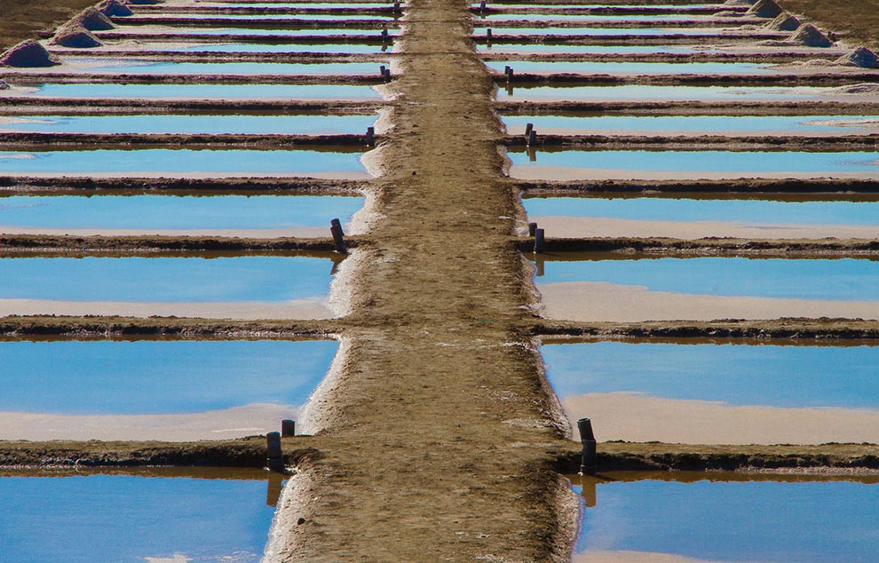 tourisme marais salants