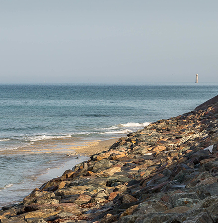 decouvrir st clement-baleines a re