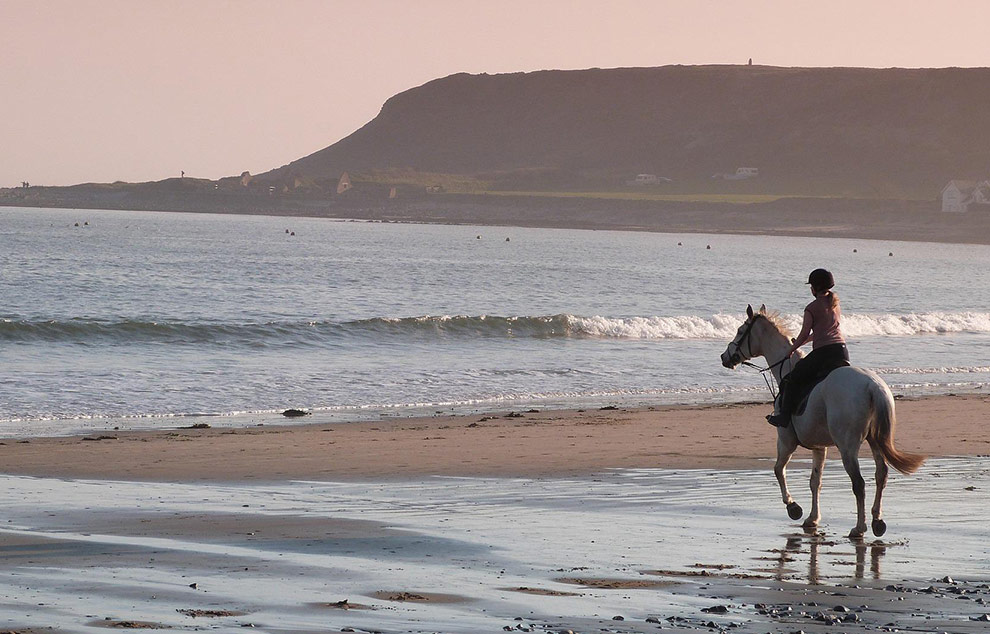 equitation plage ile de re