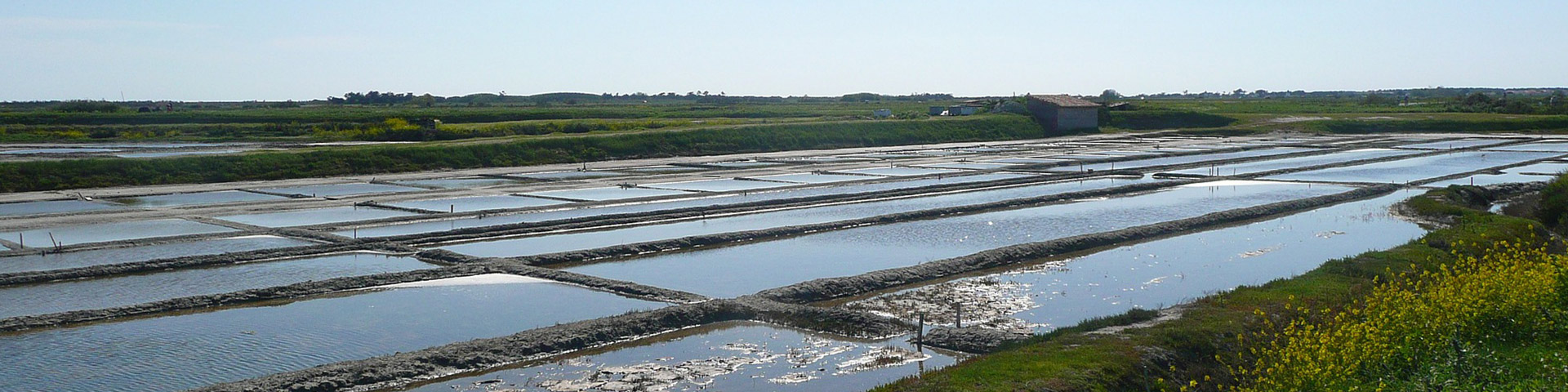 marais salants ile de re