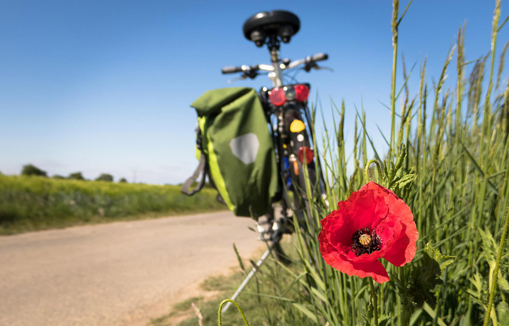 sentier velo ile de re