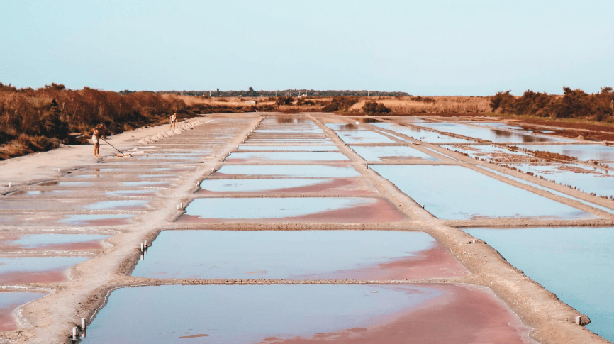 marais salants loix