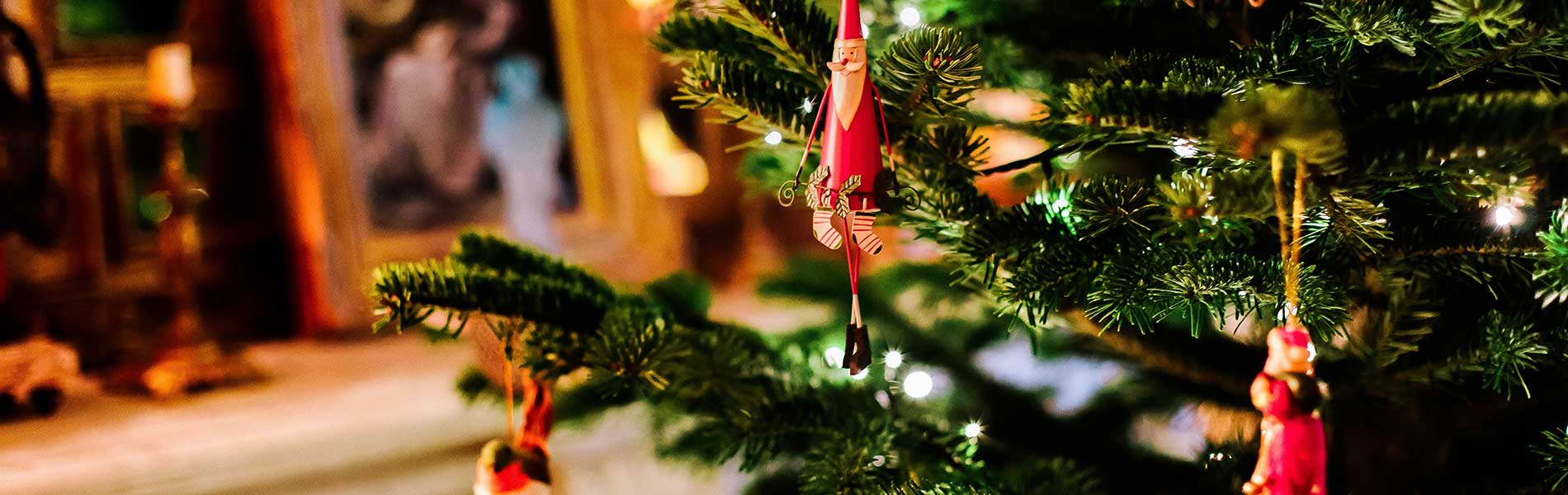 sapin noel sur l'ile de re