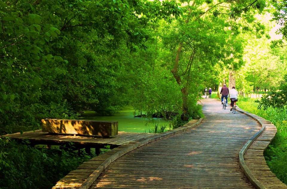 parc naturel régional du marais poitevin