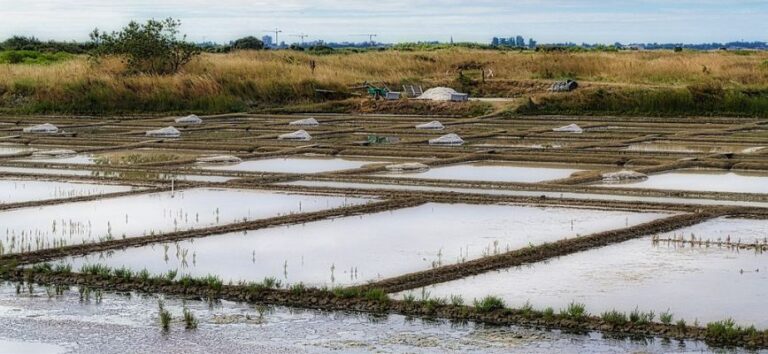 Les marais salants de Charente-Maritime