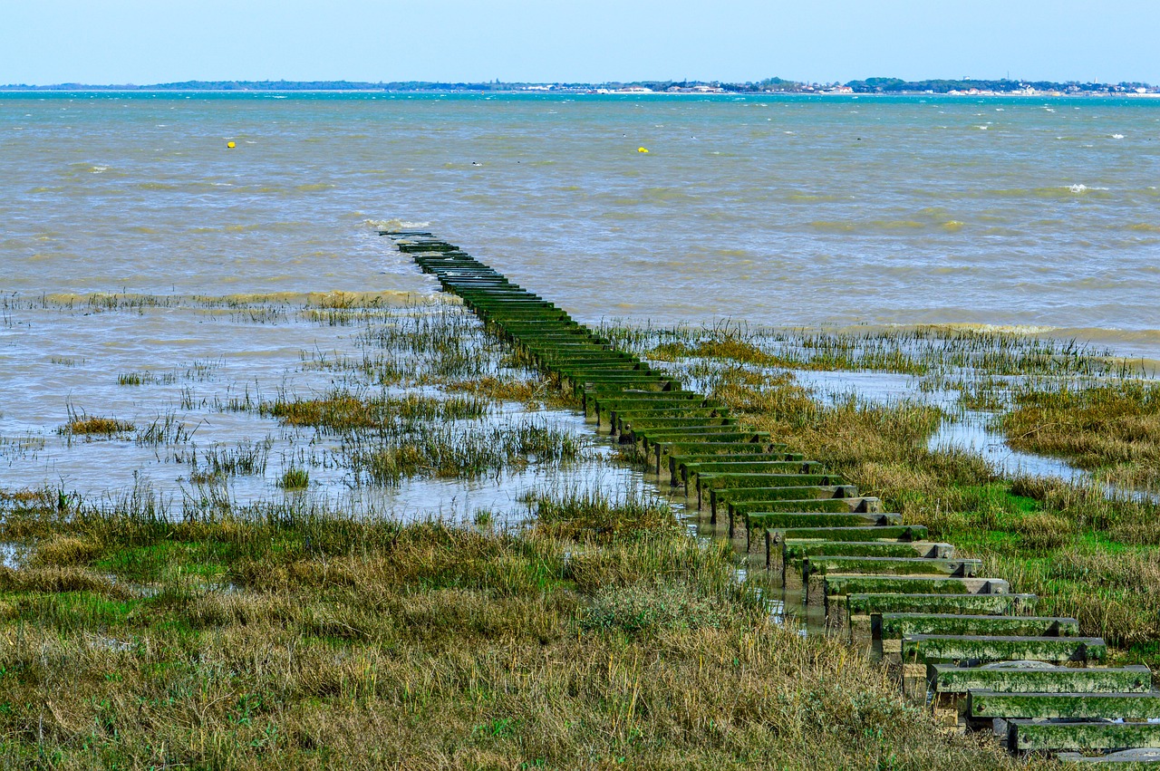 Découvrez l'île d'Aix en Charente-maritime