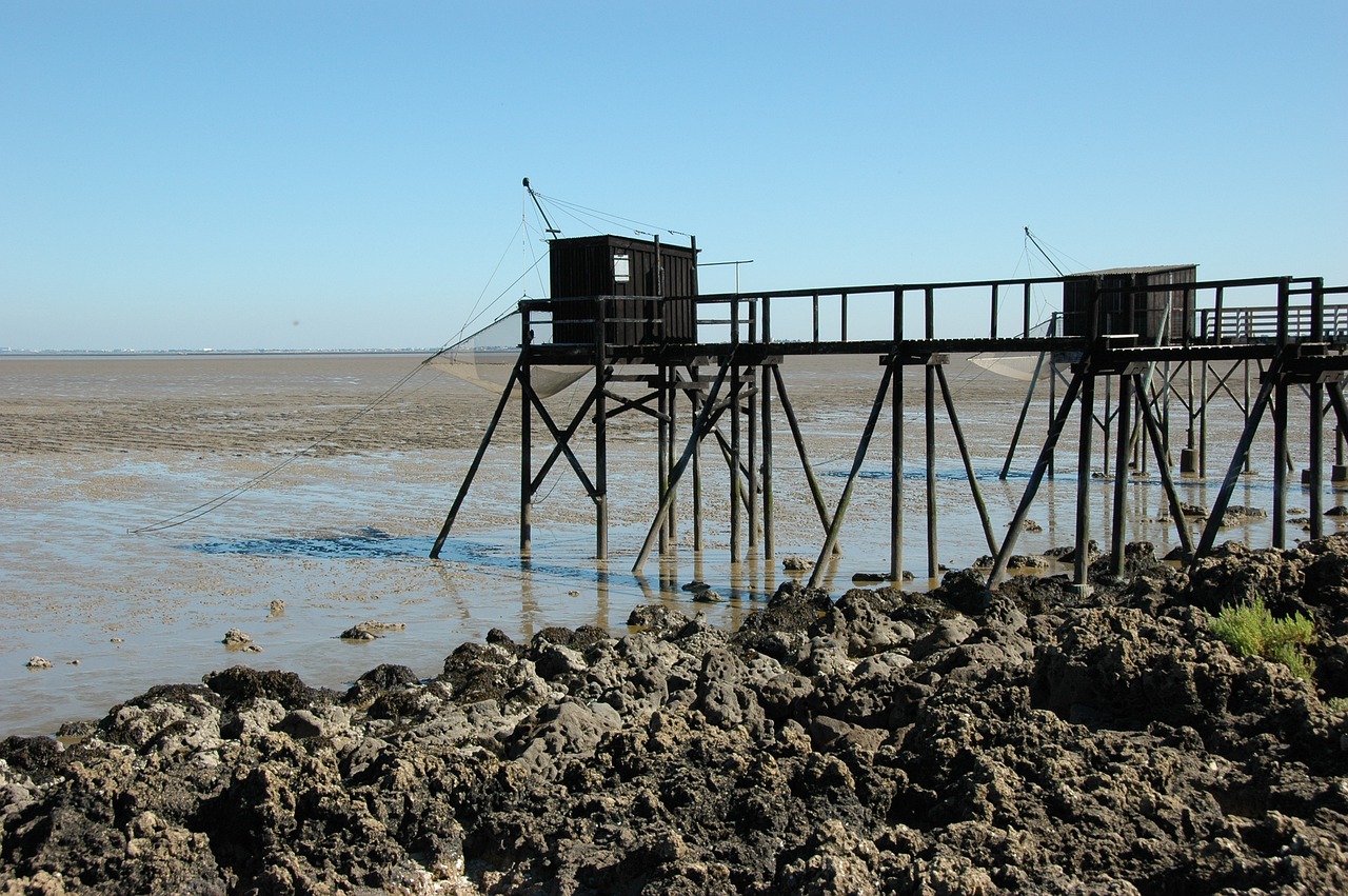 Découvrez l'ile de l'Oléron, en charente-maritime